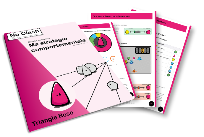 Dossier de stratégie comportementale - Triangle Rose