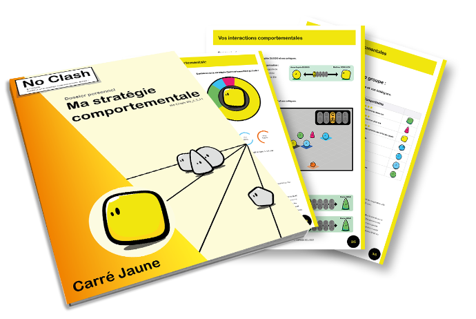 Dossier de stratégie comportementale - Carré Jaune