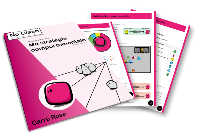 Dossier de stratégie comportementale - Carré Rose