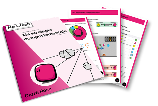 Dossier de stratégie comportementale - Carré Rose