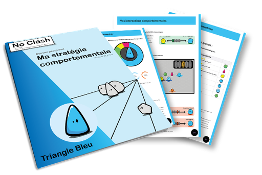 Dossier de stratégie comportementale - Triangle Bleu