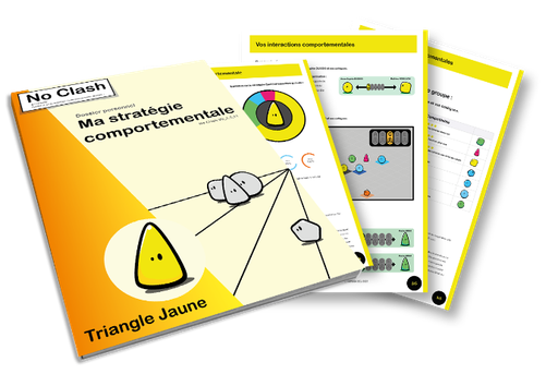 Dossier de stratégie comportementale - Triangle Jaune